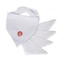Ensemble de mouchoirs Masterchef Siggi 26SE0212
