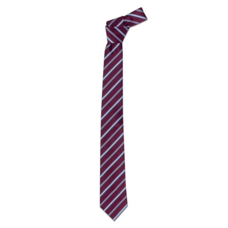 Cravate de travail en 100% polyester Giblor's...