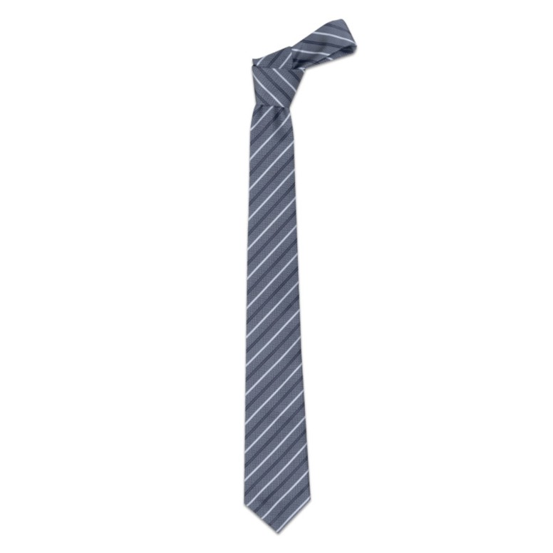 Cravate de travail en 100% polyester Giblor's...