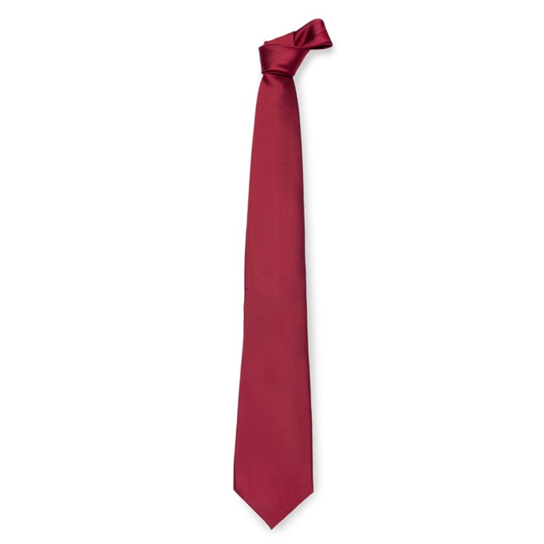 Cravate de travail en 100% polyester Giblor's 511