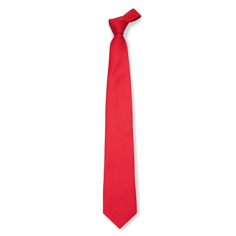 Cravate de travail en 100% polyester Giblor's 511