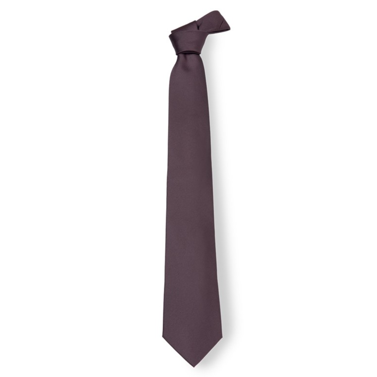 Cravate de travail en 100% polyester Giblor's 511