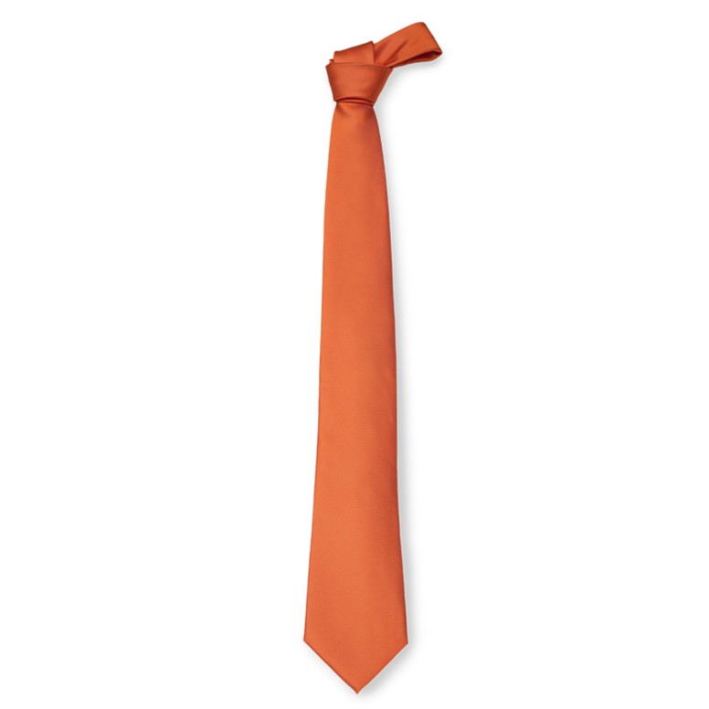 Cravate de travail en 100% polyester Giblor's 511