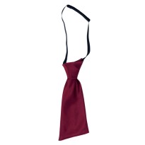 Noeud papillon de travail Giblor's Lady 19P05I871