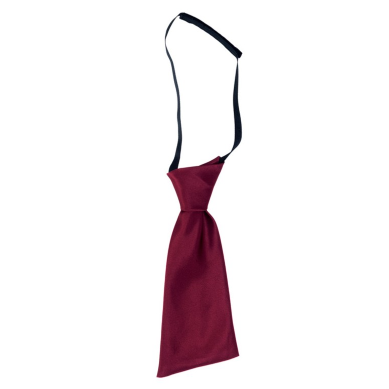Noeud papillon de travail Giblor's Lady 19P05I871