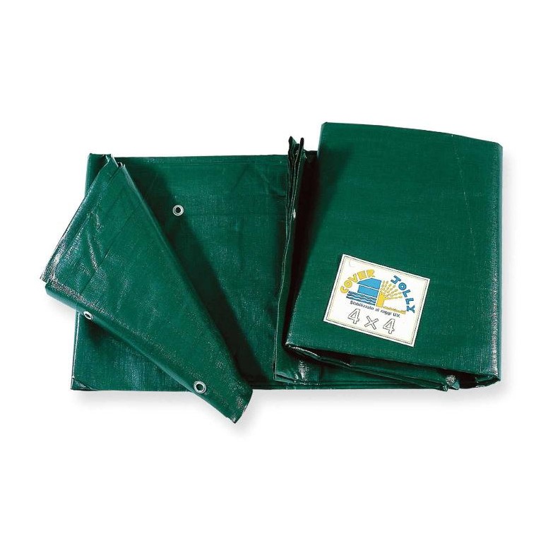 Tarp de travail vert de couverture 3x4 Logica CJ12