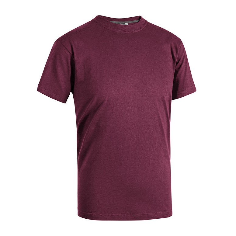 T-Shirt de Travail 100 % Coton Sottozero Sky E0400