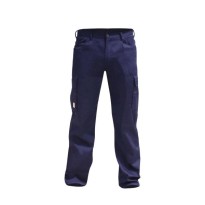 Pantalon de Travail Multipoches Stretch Technosafe Perry...