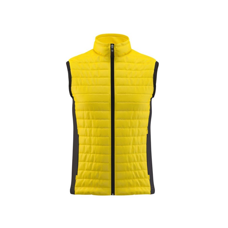 Gilet de Travail Softshell Payper Subway AY 7292