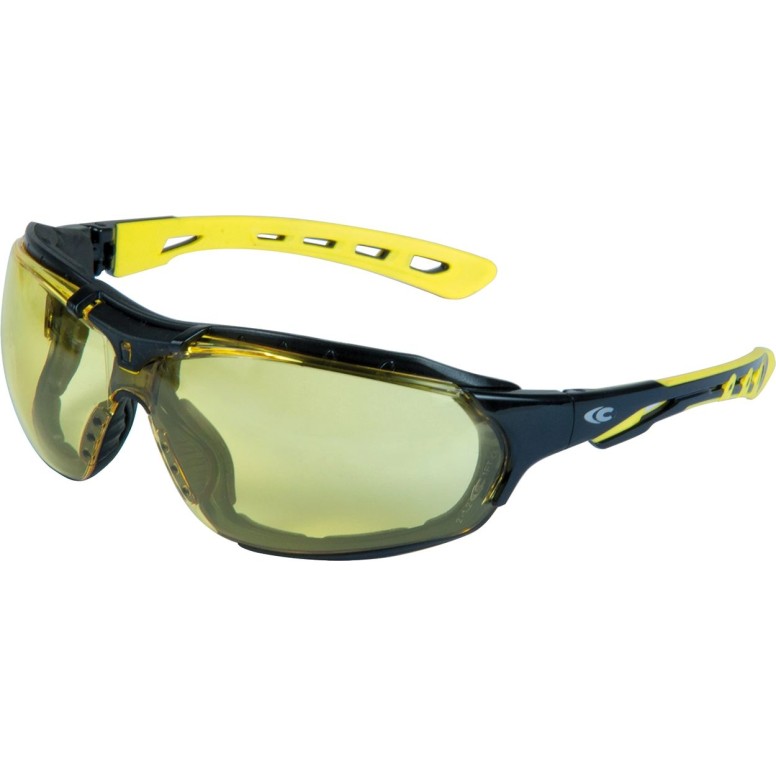 Lunettes de Travail Cofra Modular Care E018-B120