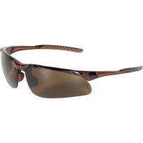 Occhiali da Lavoro Cofra