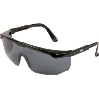 Lunettes de Protection Cofra Stelly E010-B110