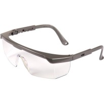 Lunettes de Protection Cofra Stelly E010-B100
