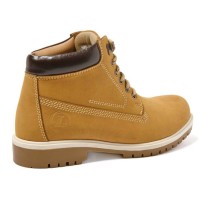 Chaussures de Sécurité Logica Colorado Hautes