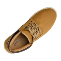 Chaussures de Sécurité Logica Colorado Hautes