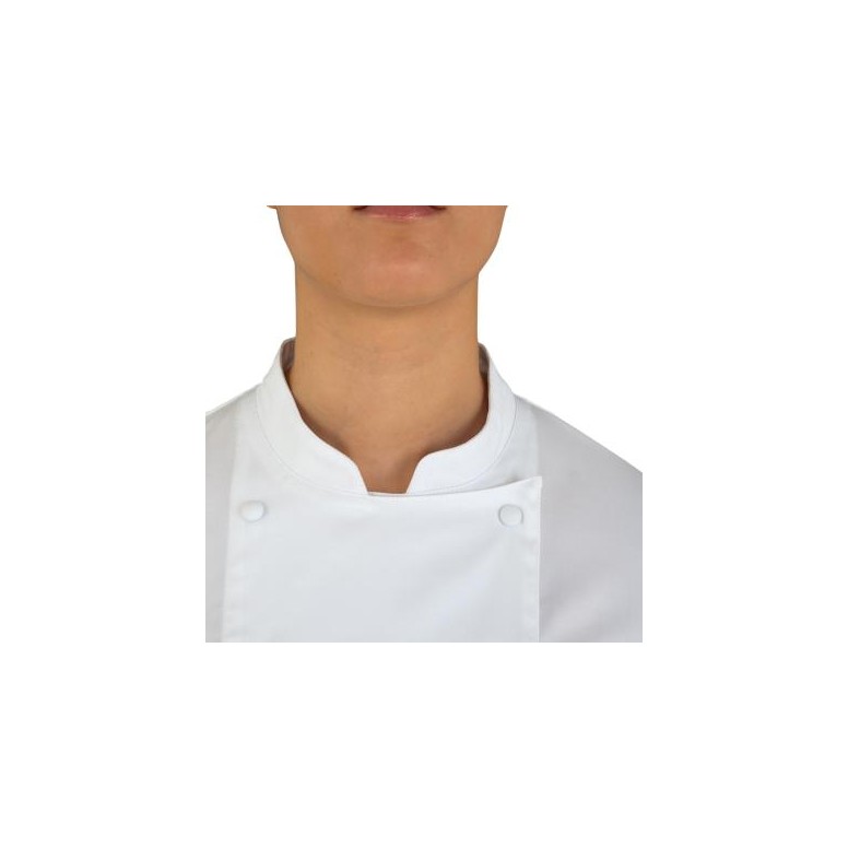 Veste Coréenne Stretch Giblor's Aura 24P08G391...