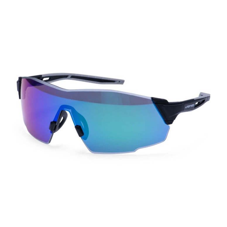 Lunettes de travail Portwest PT01